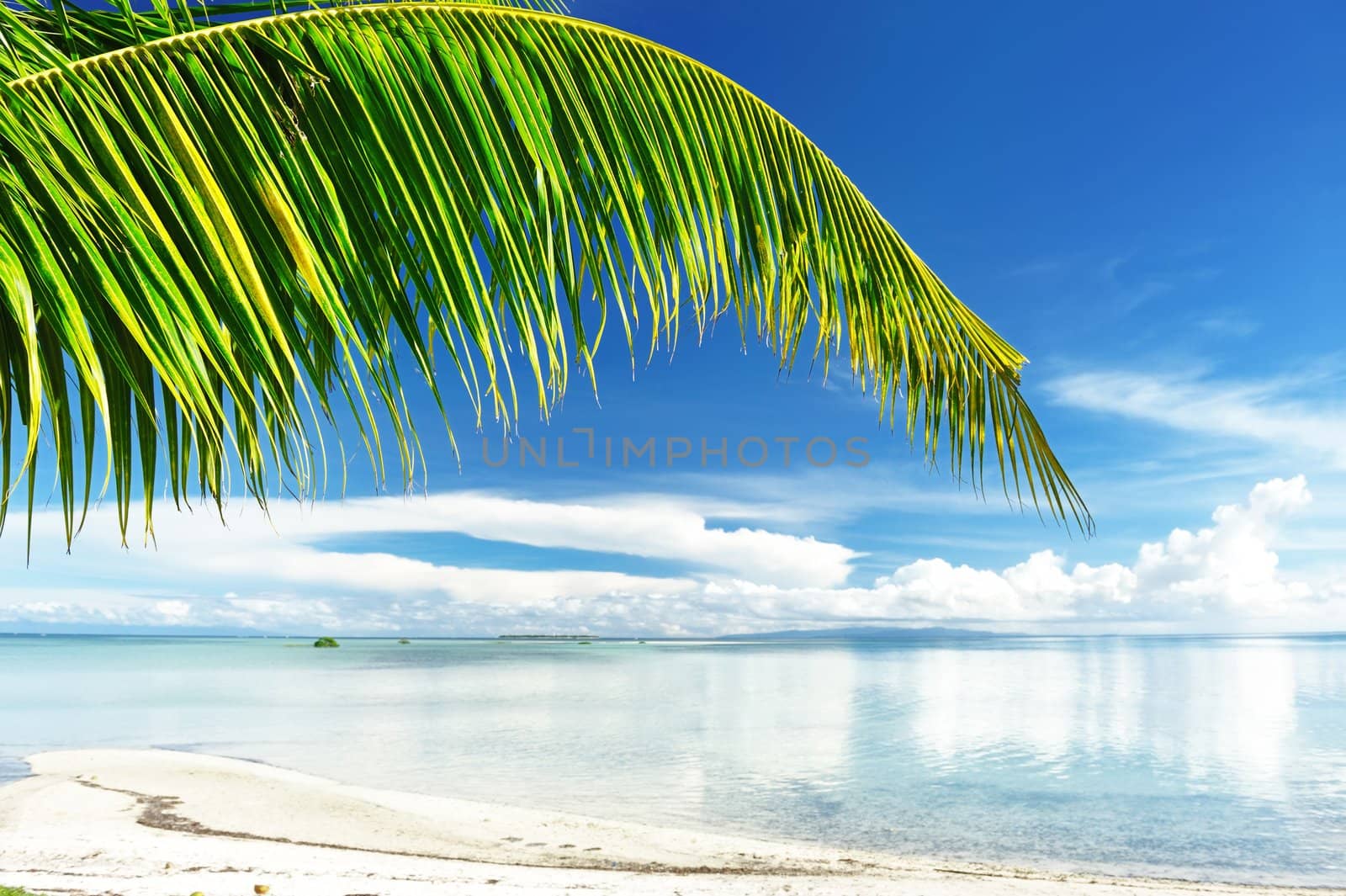 Beautiful wild beach at remote island, Philippines