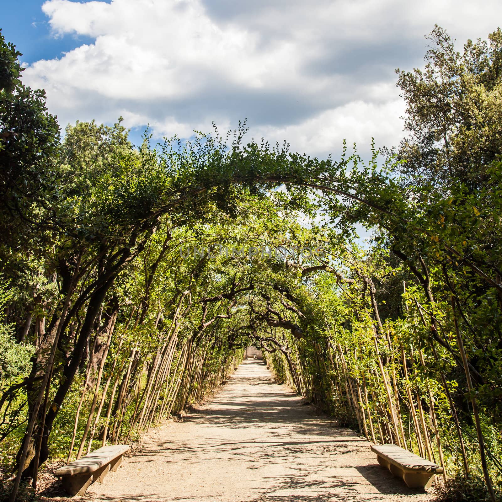 Florence, Italy. Old Boboli Gardens during a sunny day in summer season