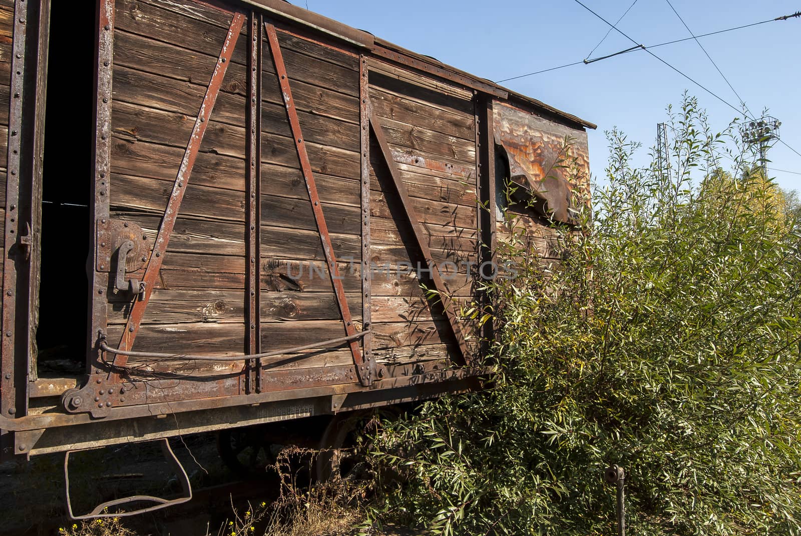 Old freight abandoned wooden railway wagon and bush