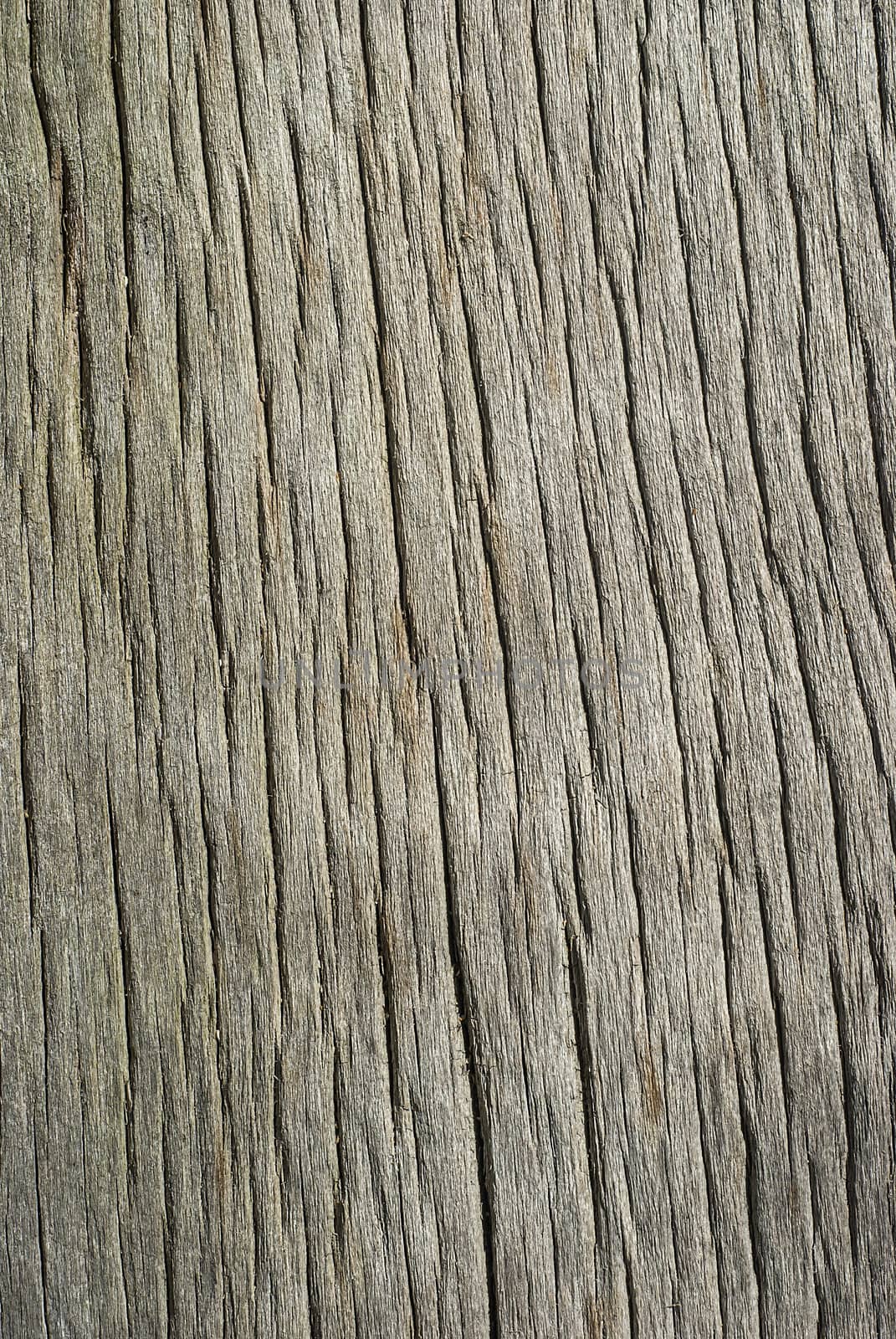 Old weathered wooden board by varbenov