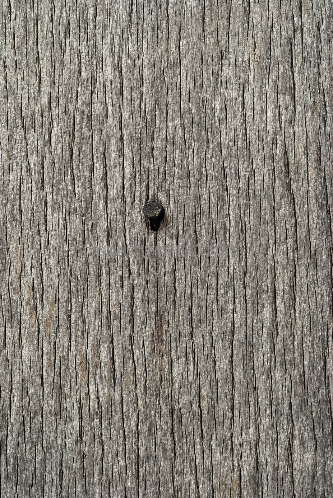 Old weathered grey wooden board with nail head