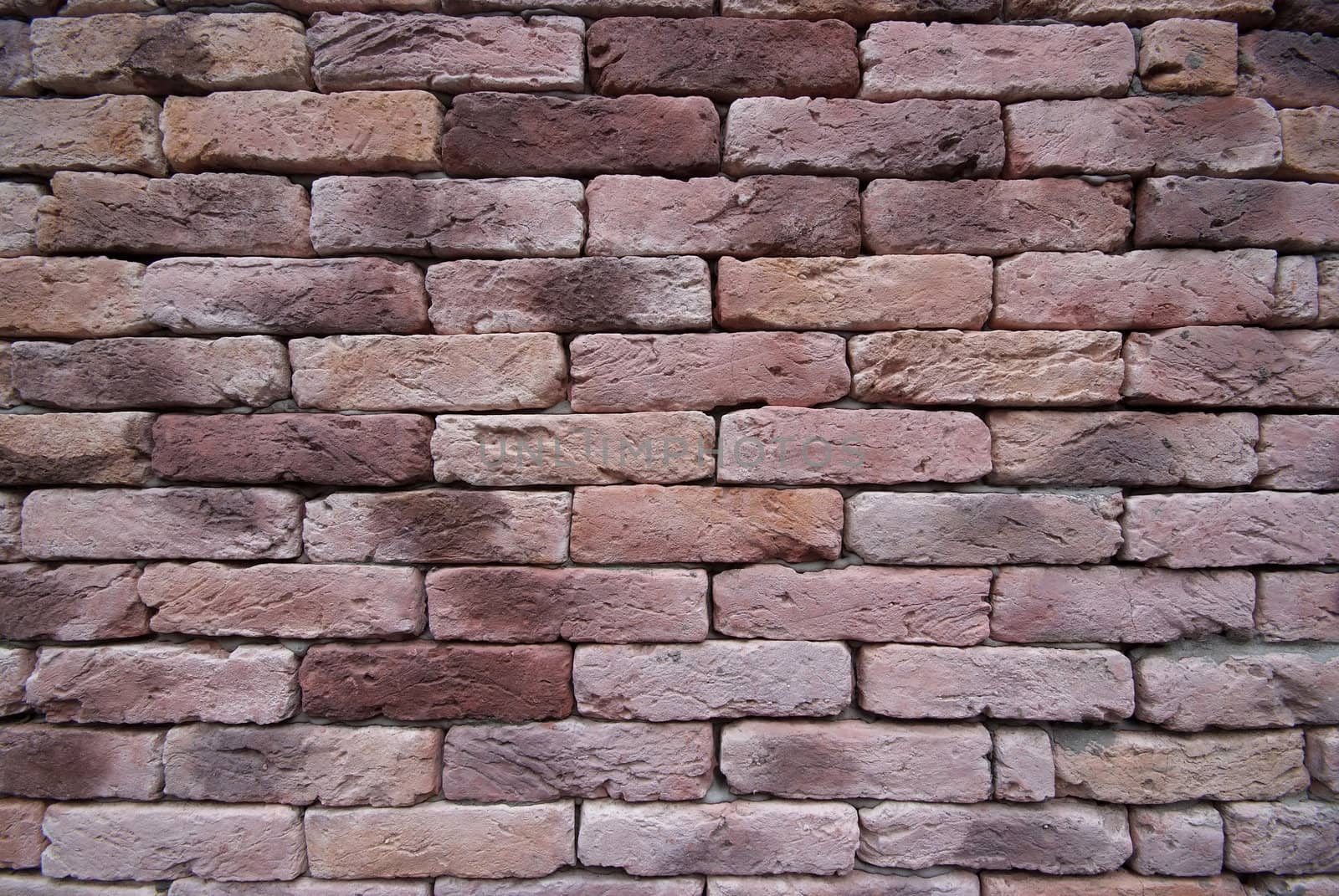 Pink Brick Wall  by opasstudio