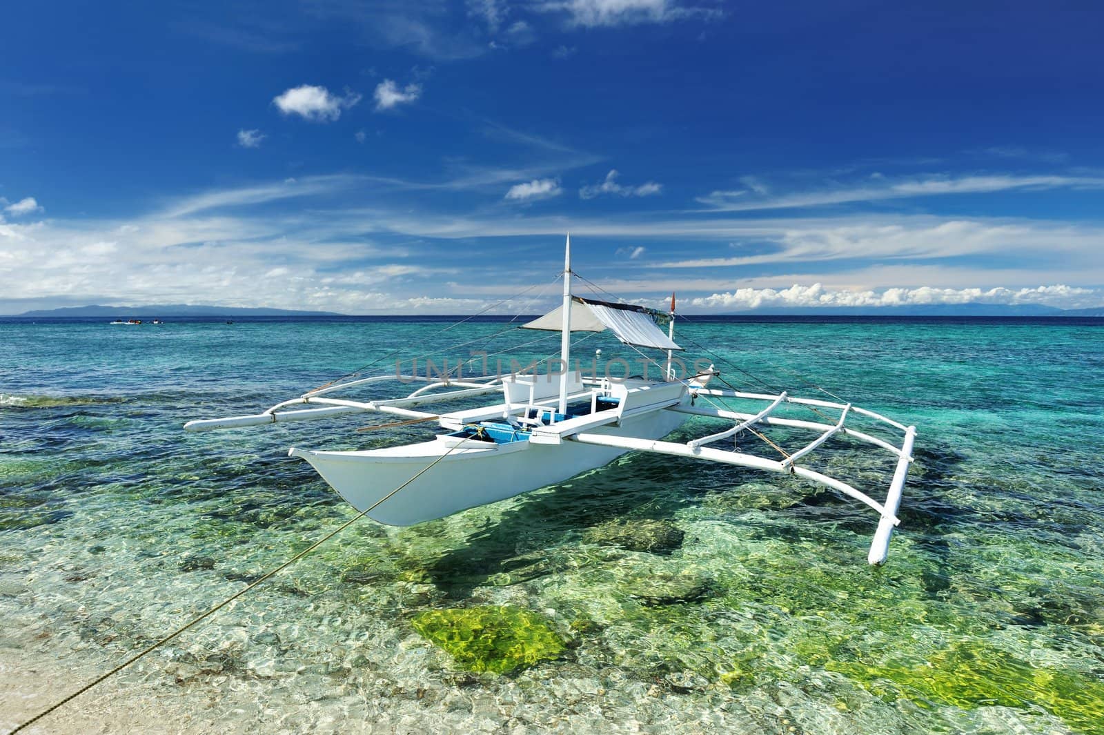 Beautiful beach with boat at Balicasag island, Philippines