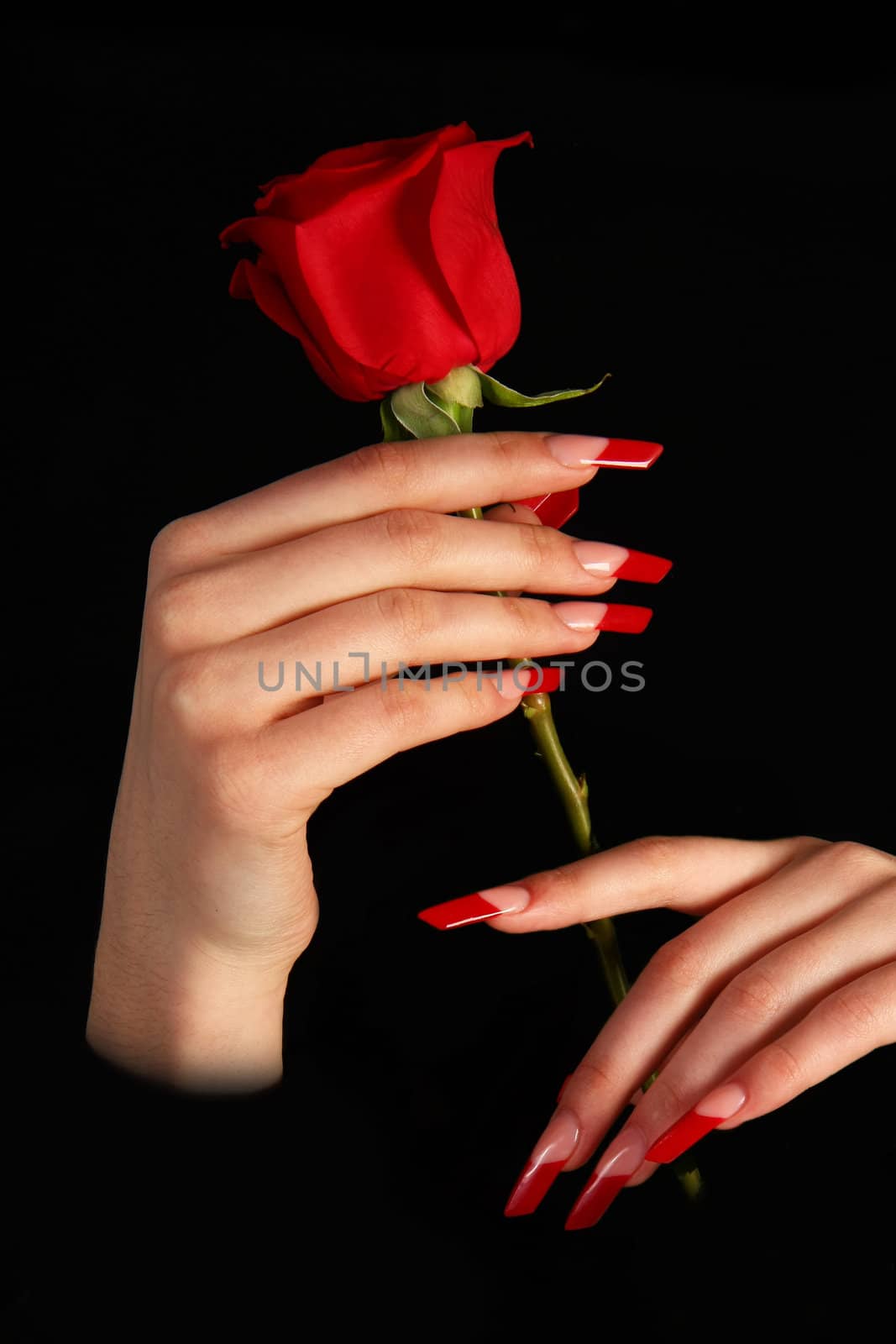 Human fingers with long fingernail and beautiful manicure isolated on black