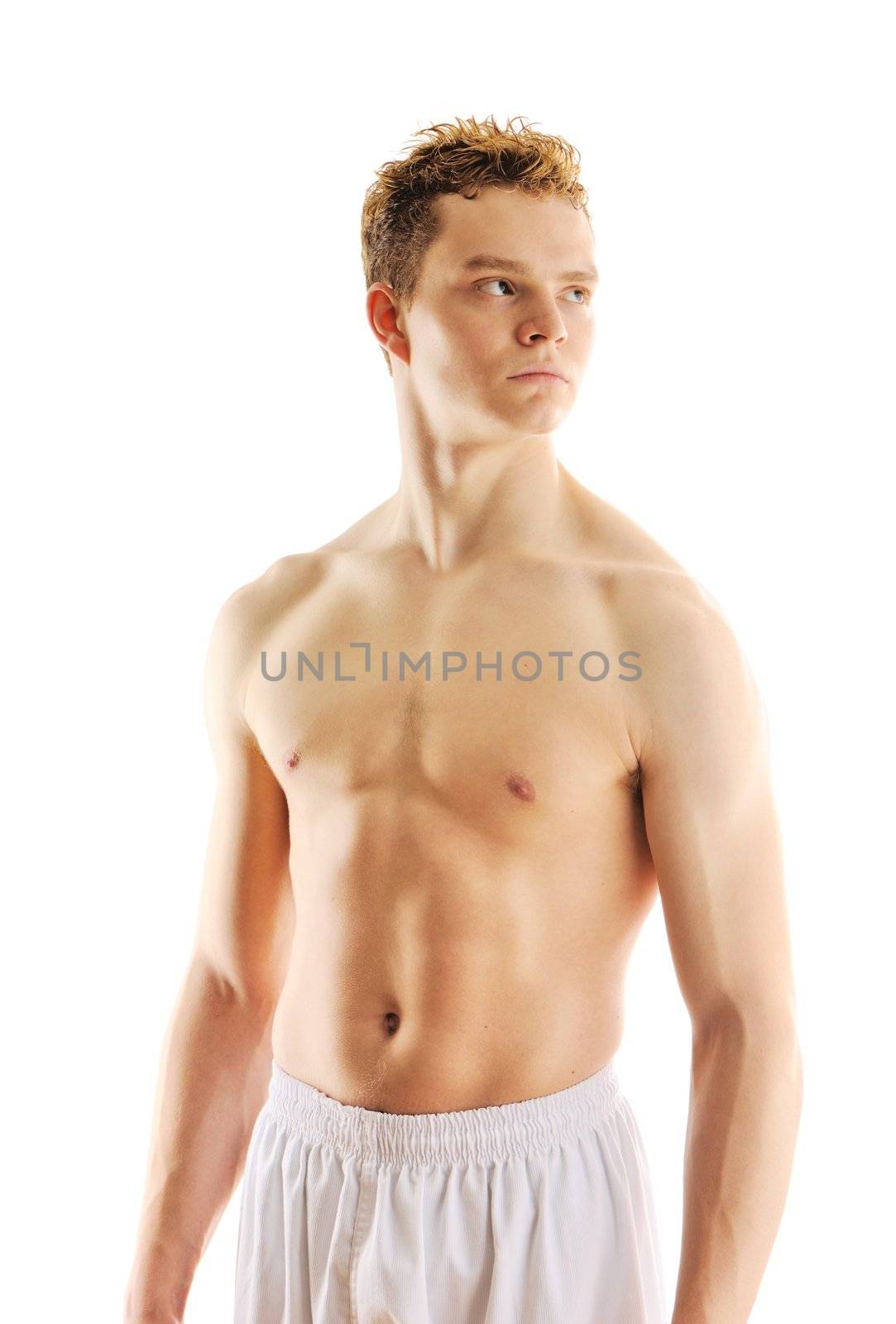 Muscular man torso by haveseen