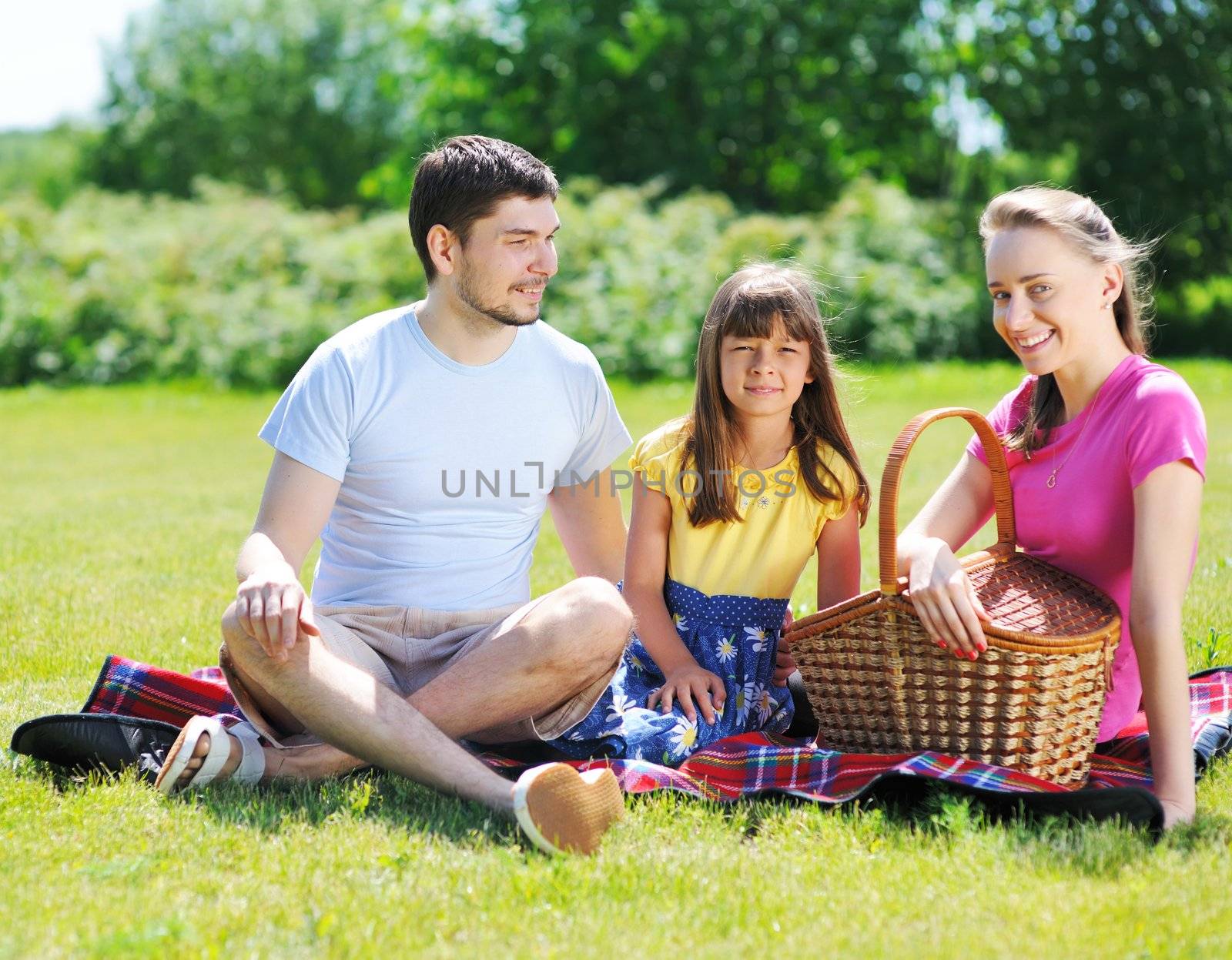 Family on picnic at sunny day