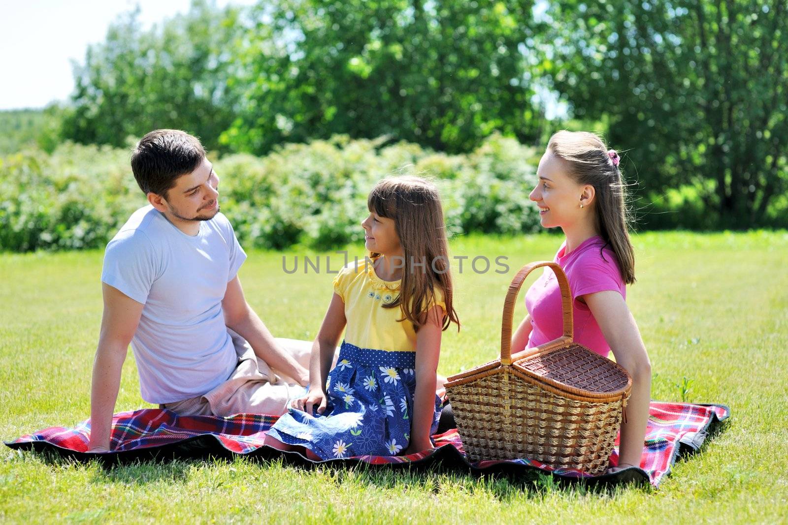 Family on picnic at sunny day