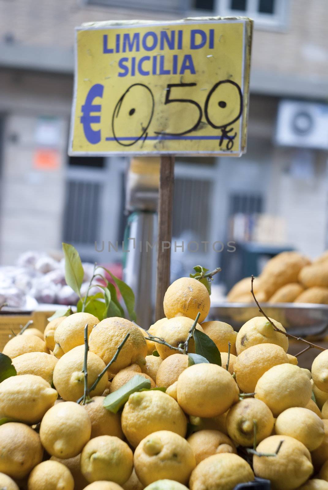 lemons of sicily for sale  by gandolfocannatella