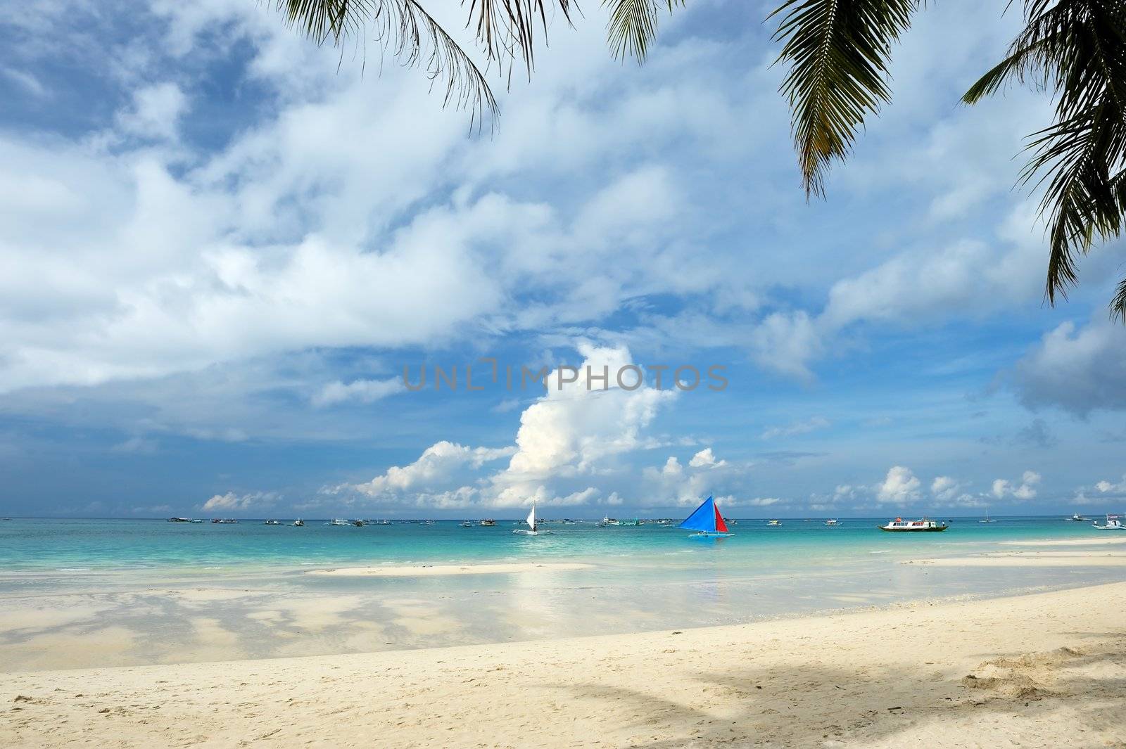 Beautiful beach with palm trees at Philippines