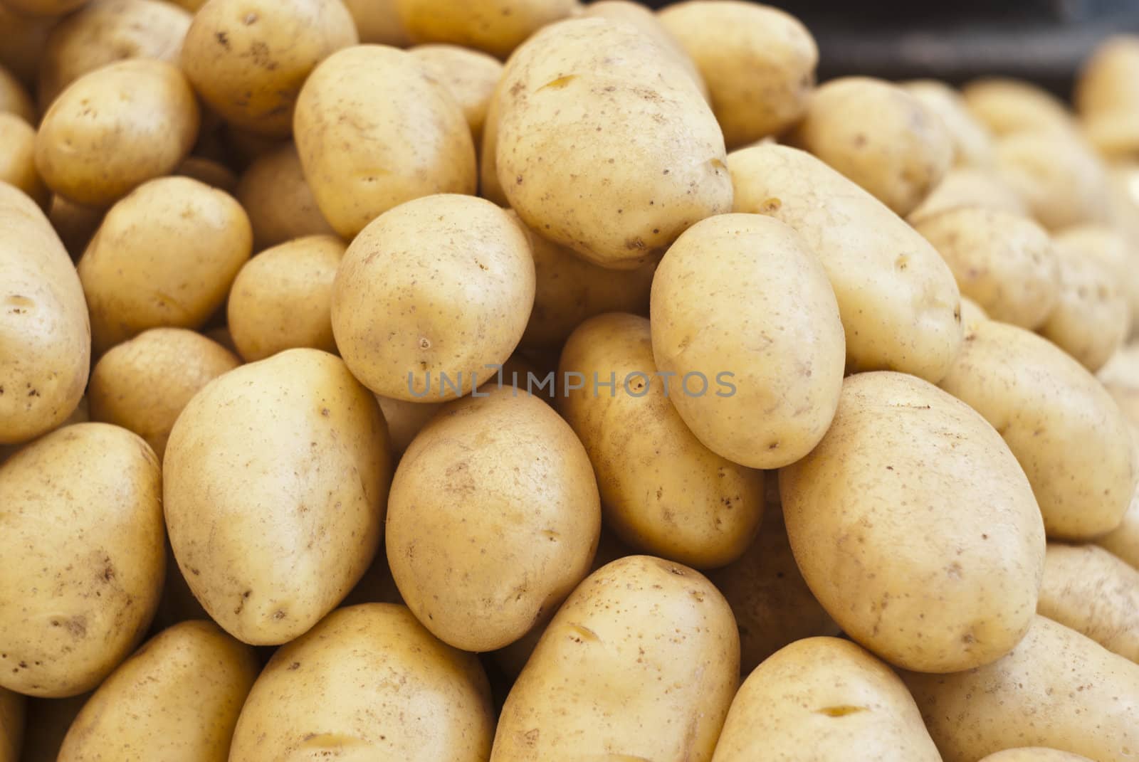 pile of new potatoes for sale to the market