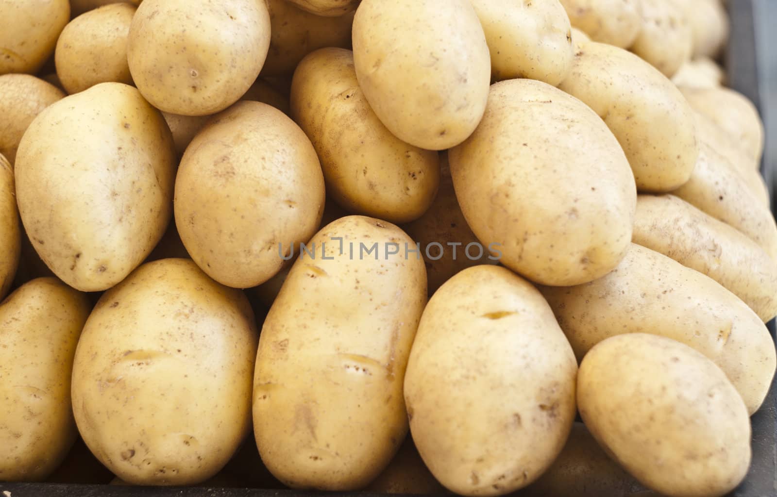 pile of new potatoes for sale to the market