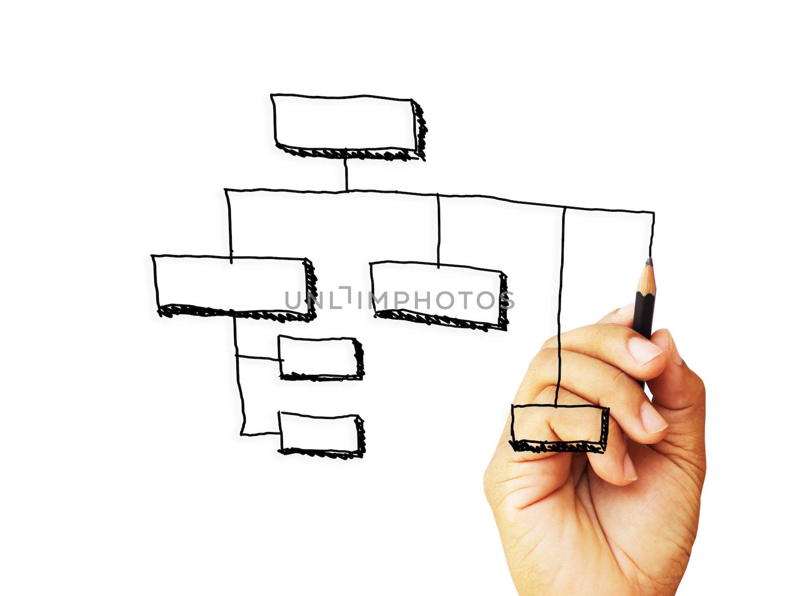 organization  sketching