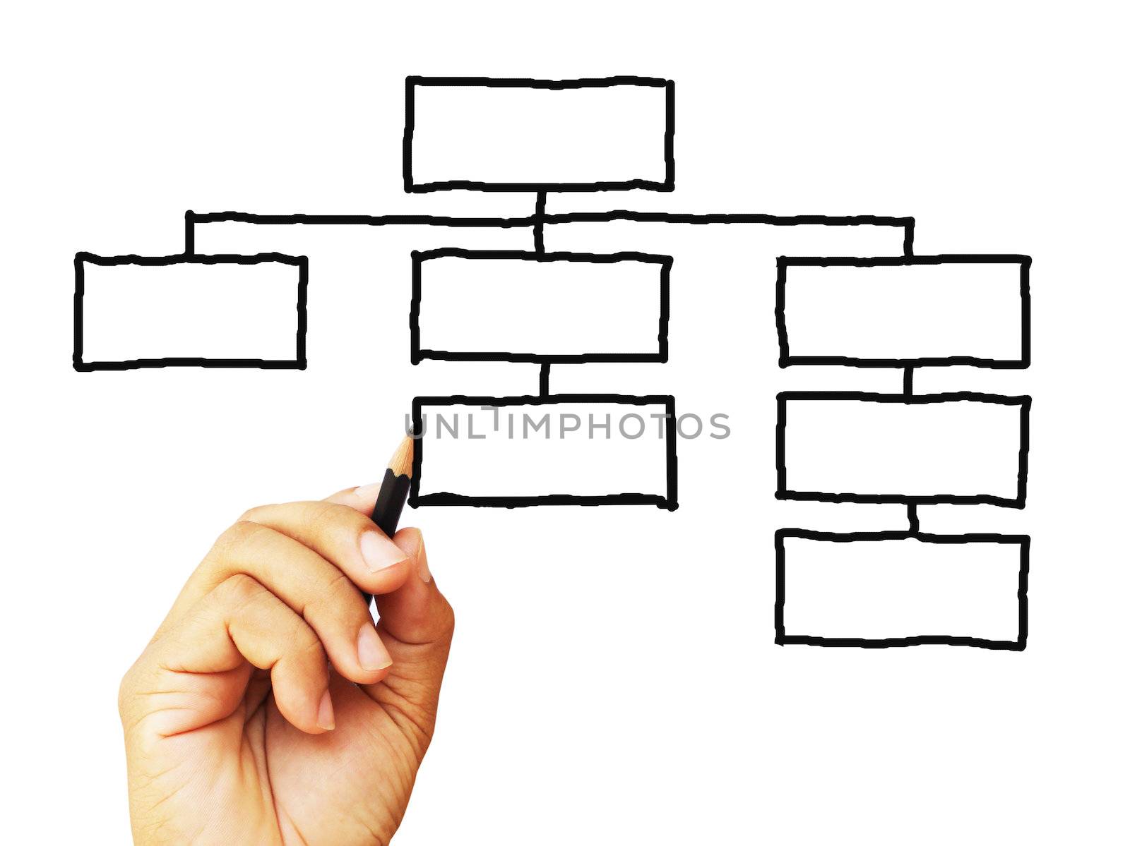 organization  sketching