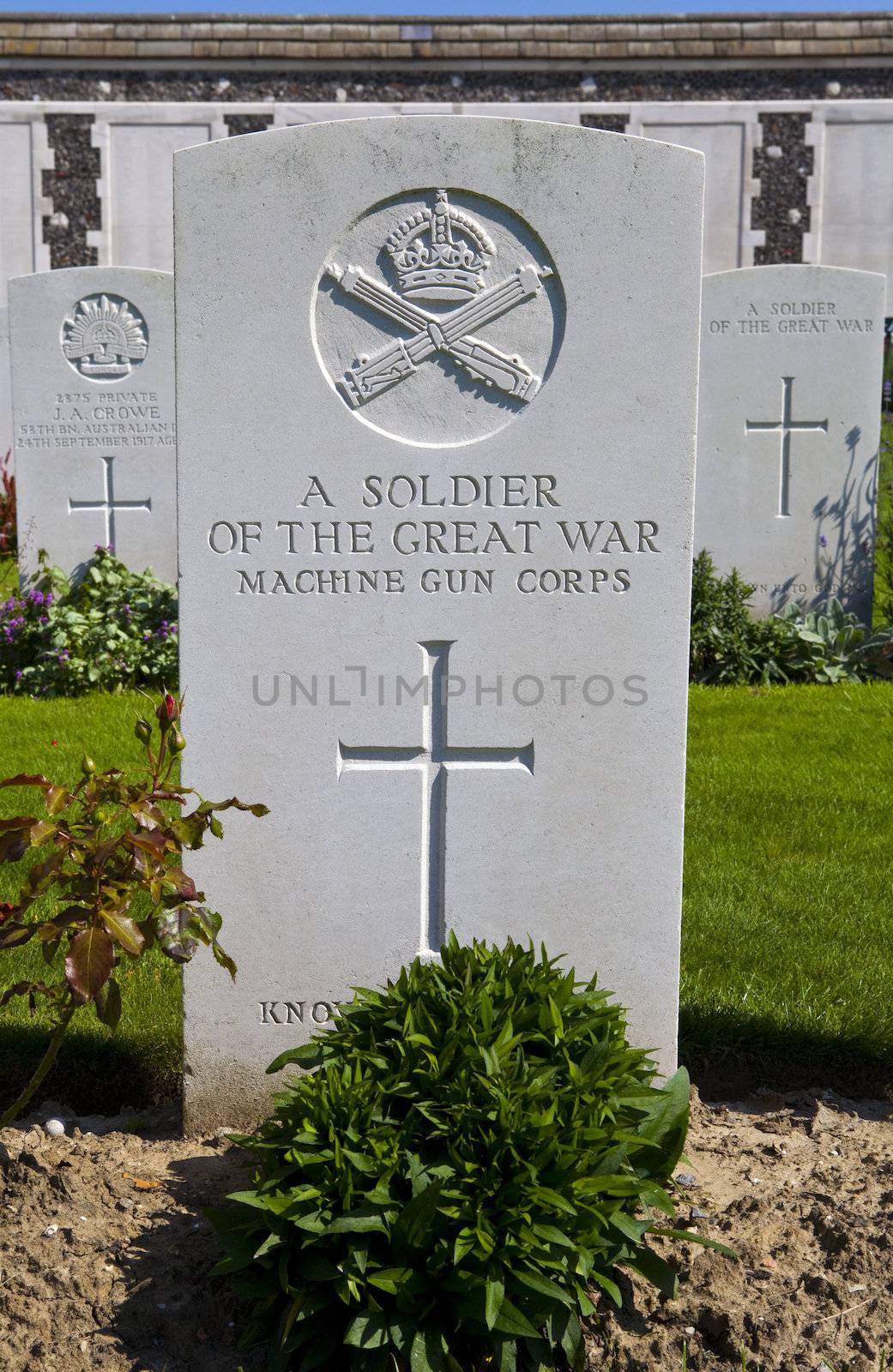 A gravestone of a soldier of the Great War in Tyne Cot Cemetery, Ypres.