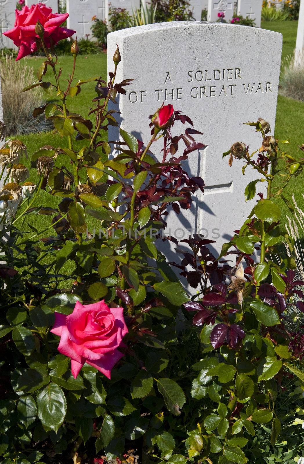 A gravestone of a soldier of the Great War in Tyne Cot Cemetery, Ypres.