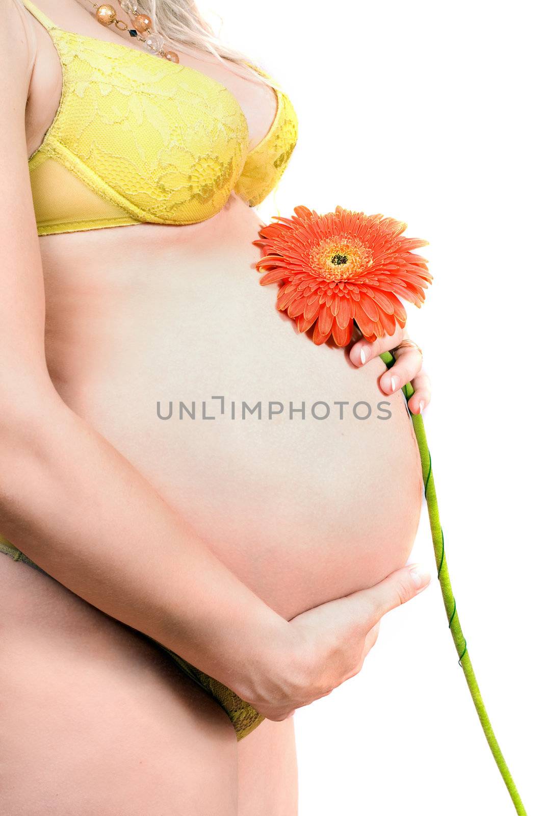 Belly of a pregnant young woman with flower. Isolated