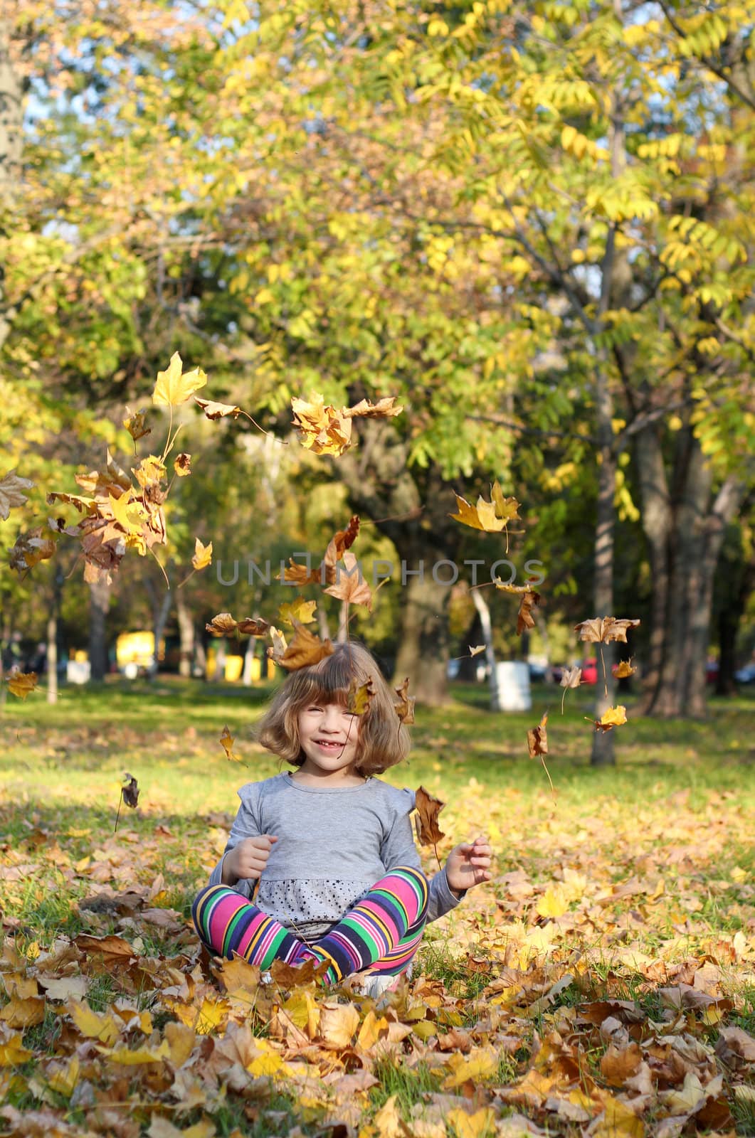 happy little girl fun with autumn leaves by goce