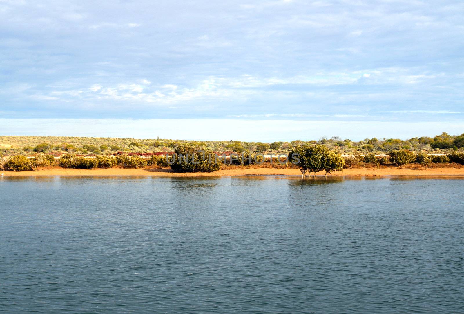An Outback Shore, Port Augusta (top of Spencer Gulf), South Aust by Cloudia
