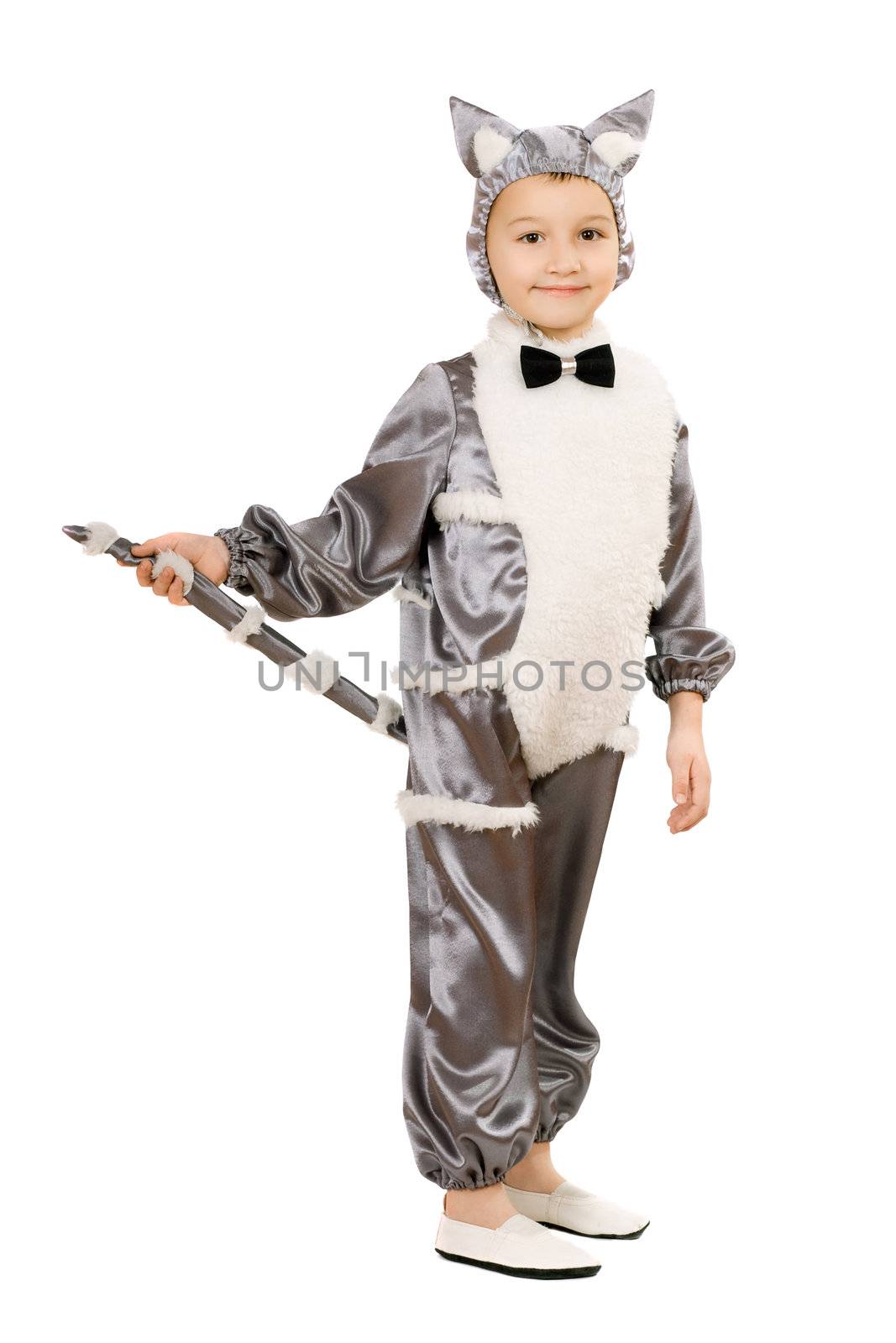 Boy dressed as cat. Isolated on white background