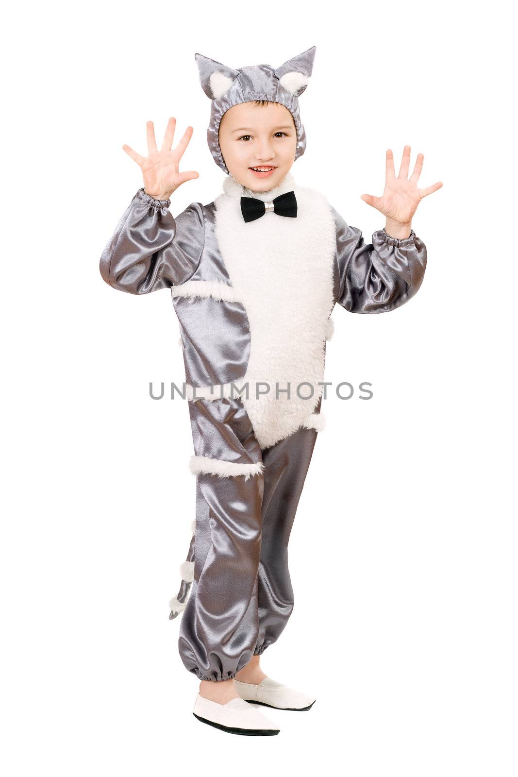 Playful boy dressed as cat. Isolated on white