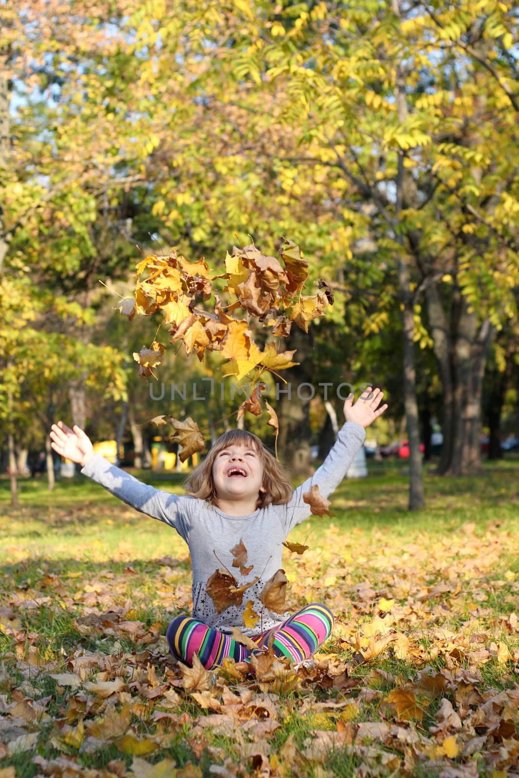 little girl throws autumn leaves by goce