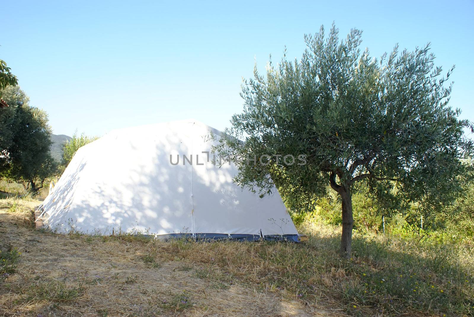 large camping tent in the countryside over blue sky