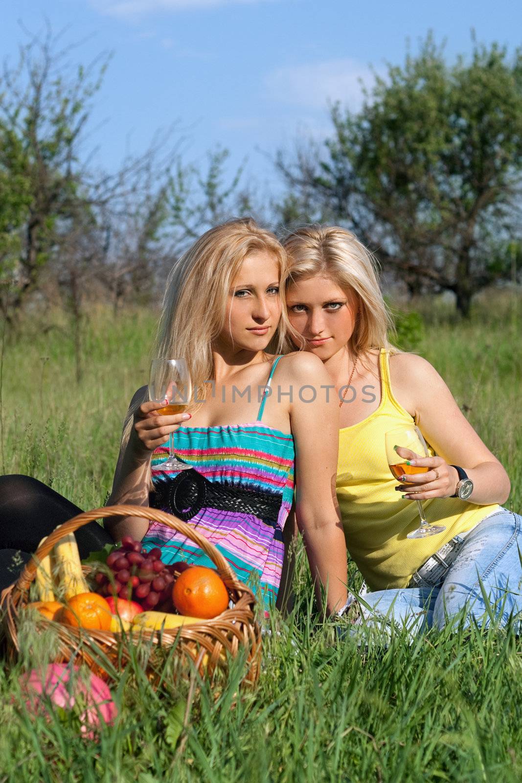 Two sensual blonde with wineglasses sitting on a grass 