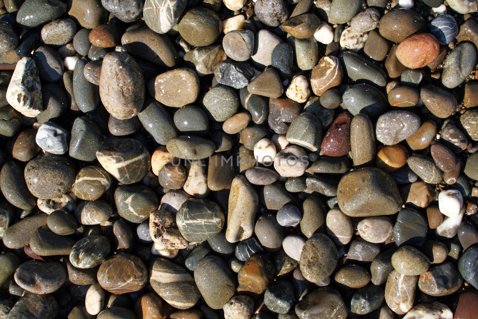 wet pebbles in waves of the Black Sea
