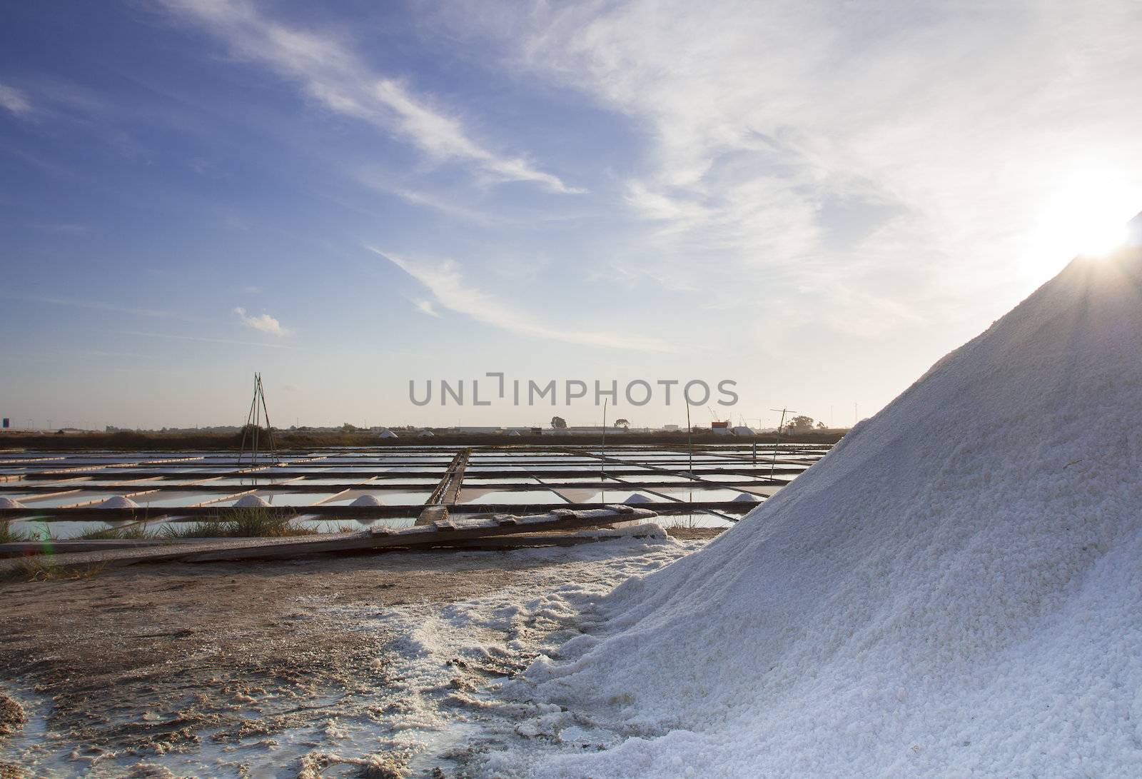 Salt industry in the city of Aveiro - Portugal