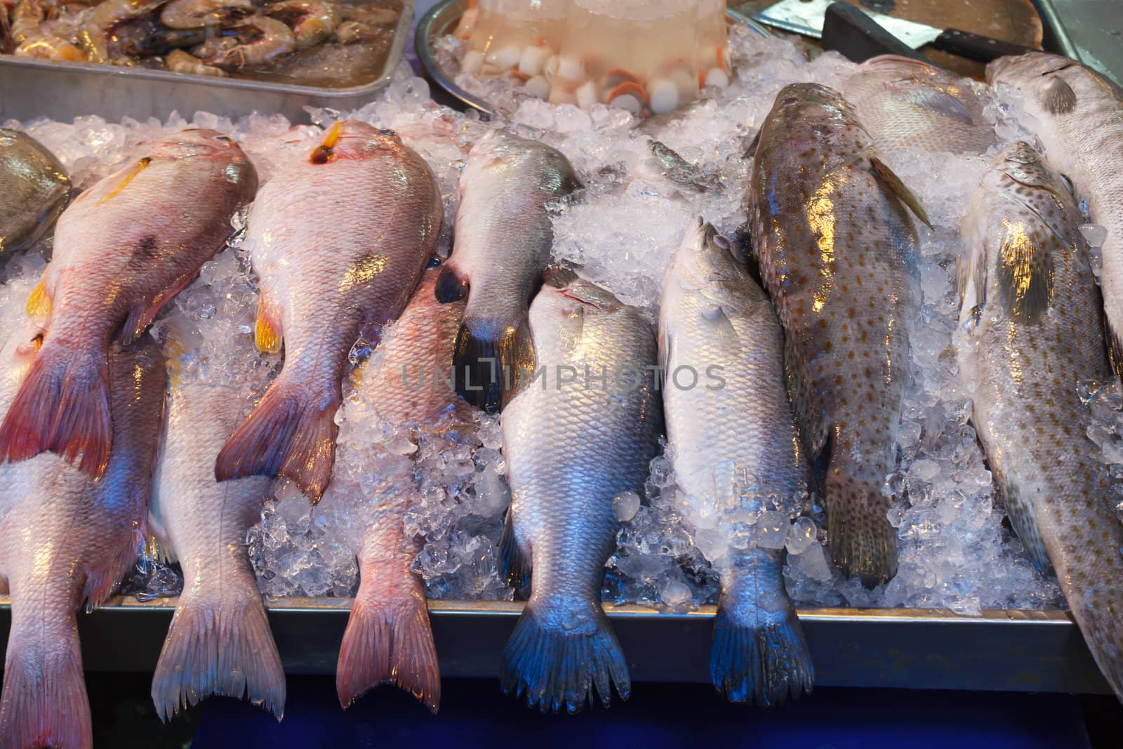Fresh fish at seafood market in Thailand.