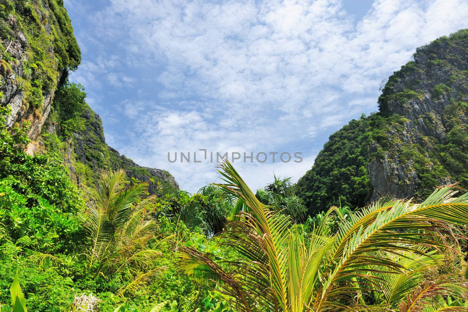 Beautiful tropical nature at  Phi Phi Ley island, the exact place where "The Beach" movie was filmed 