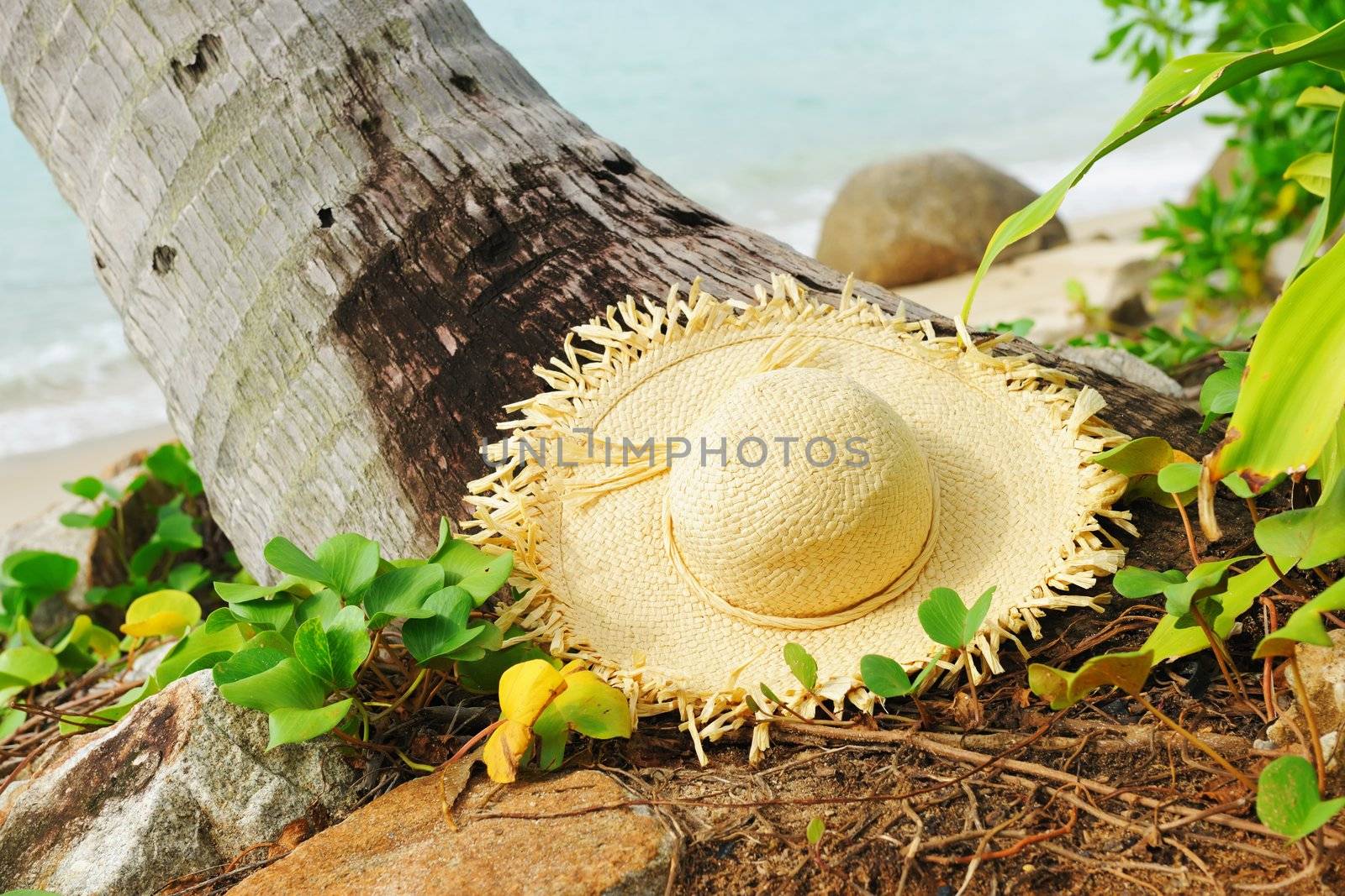 Hat on a beach in Thailand
