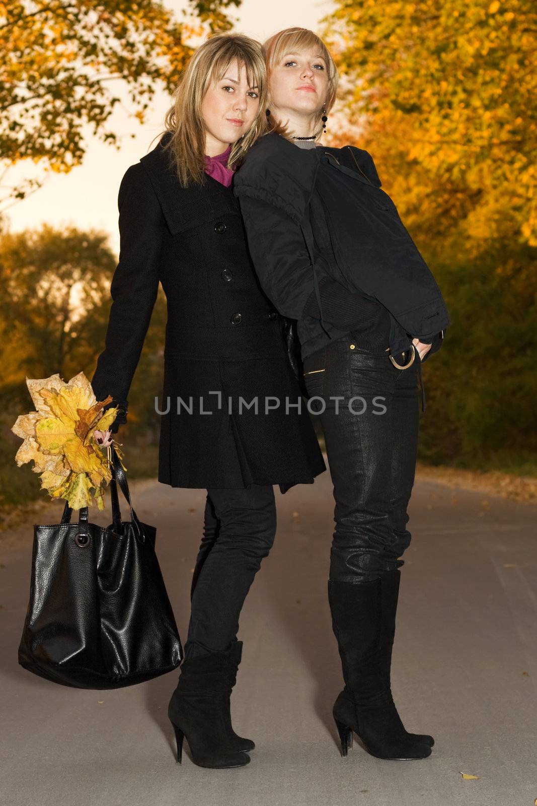 Two young blondes with autumn leaves on a road