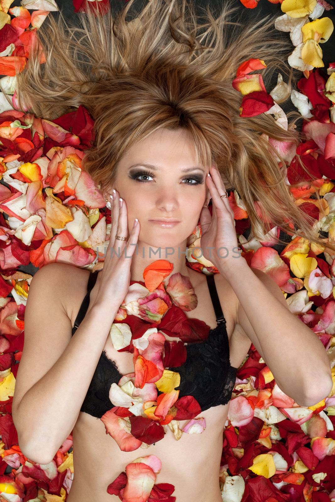 attractive blonde lying in rose petals by acidgrey