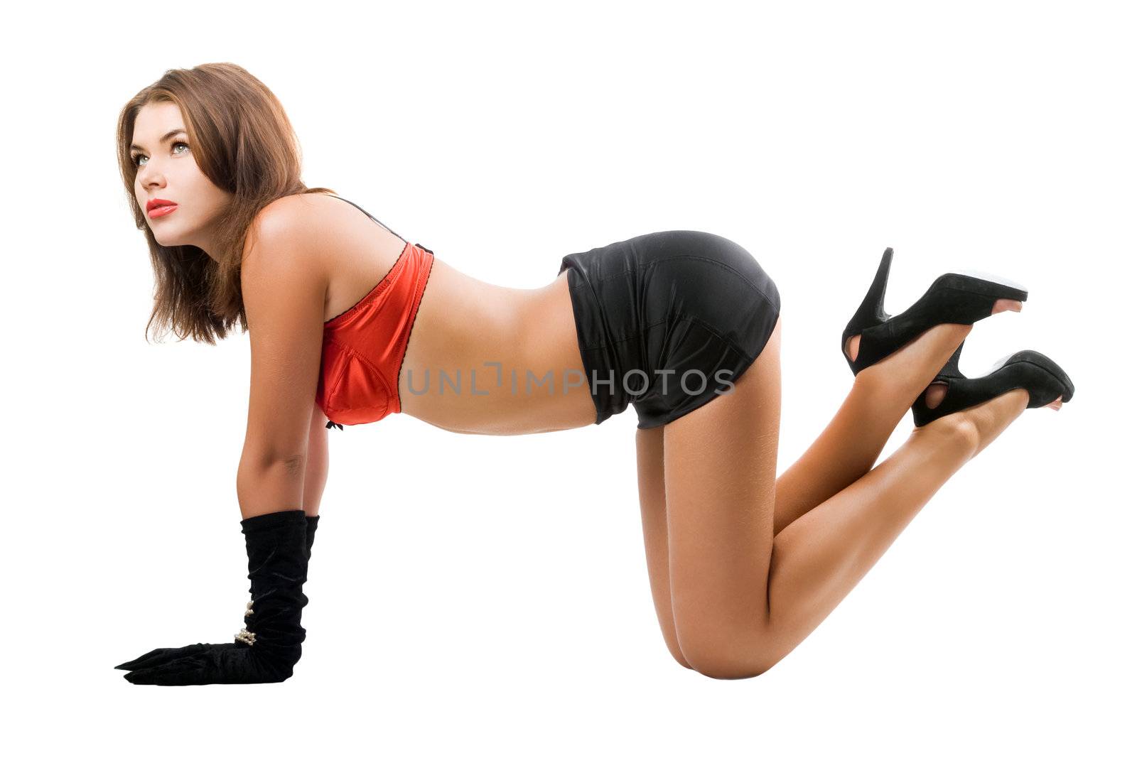 Pretty woman on all fours. Isolated on white