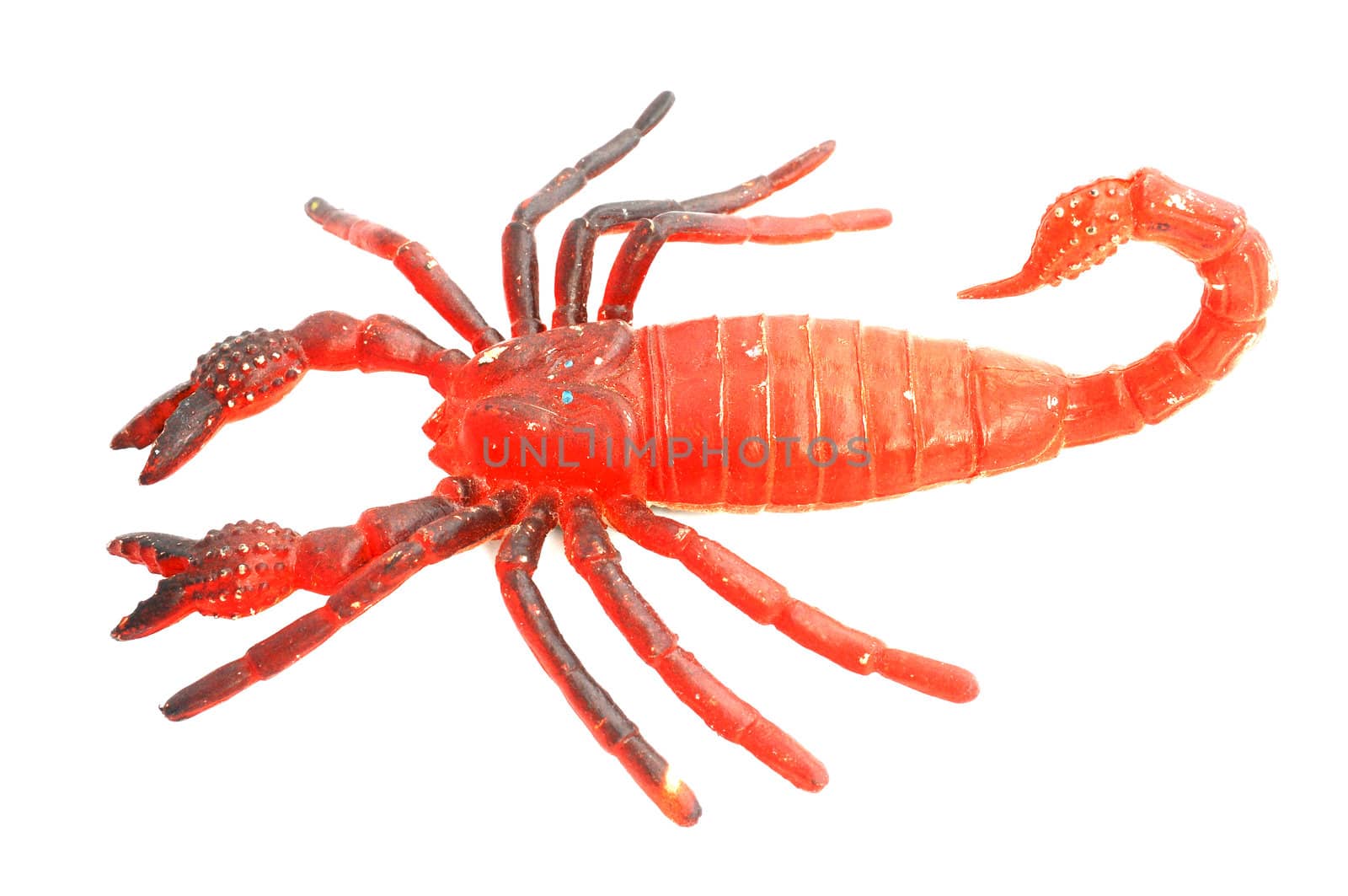 Plastic toy of a red scorpion on a white background