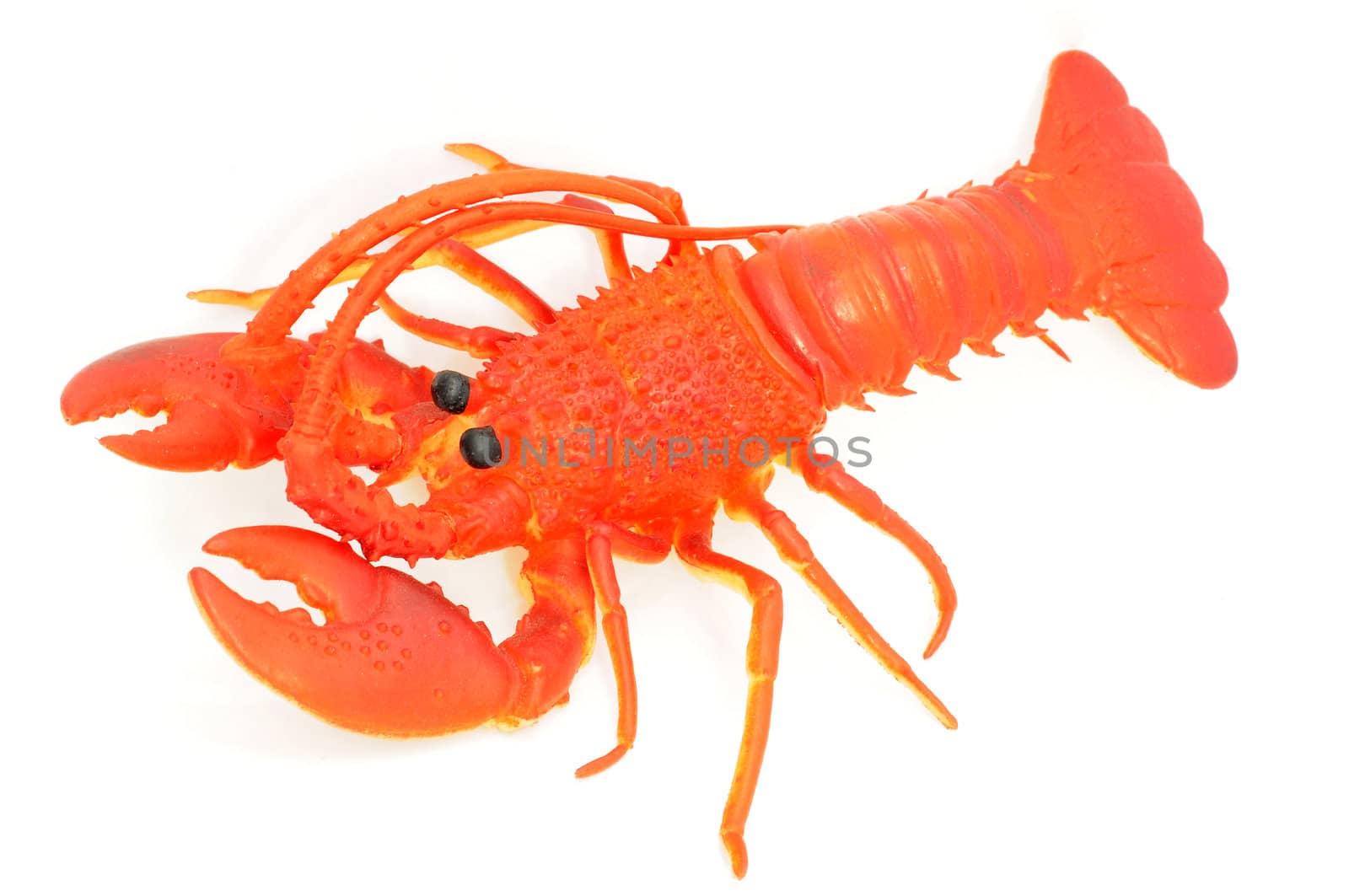Plastic toy of lobster on a white background