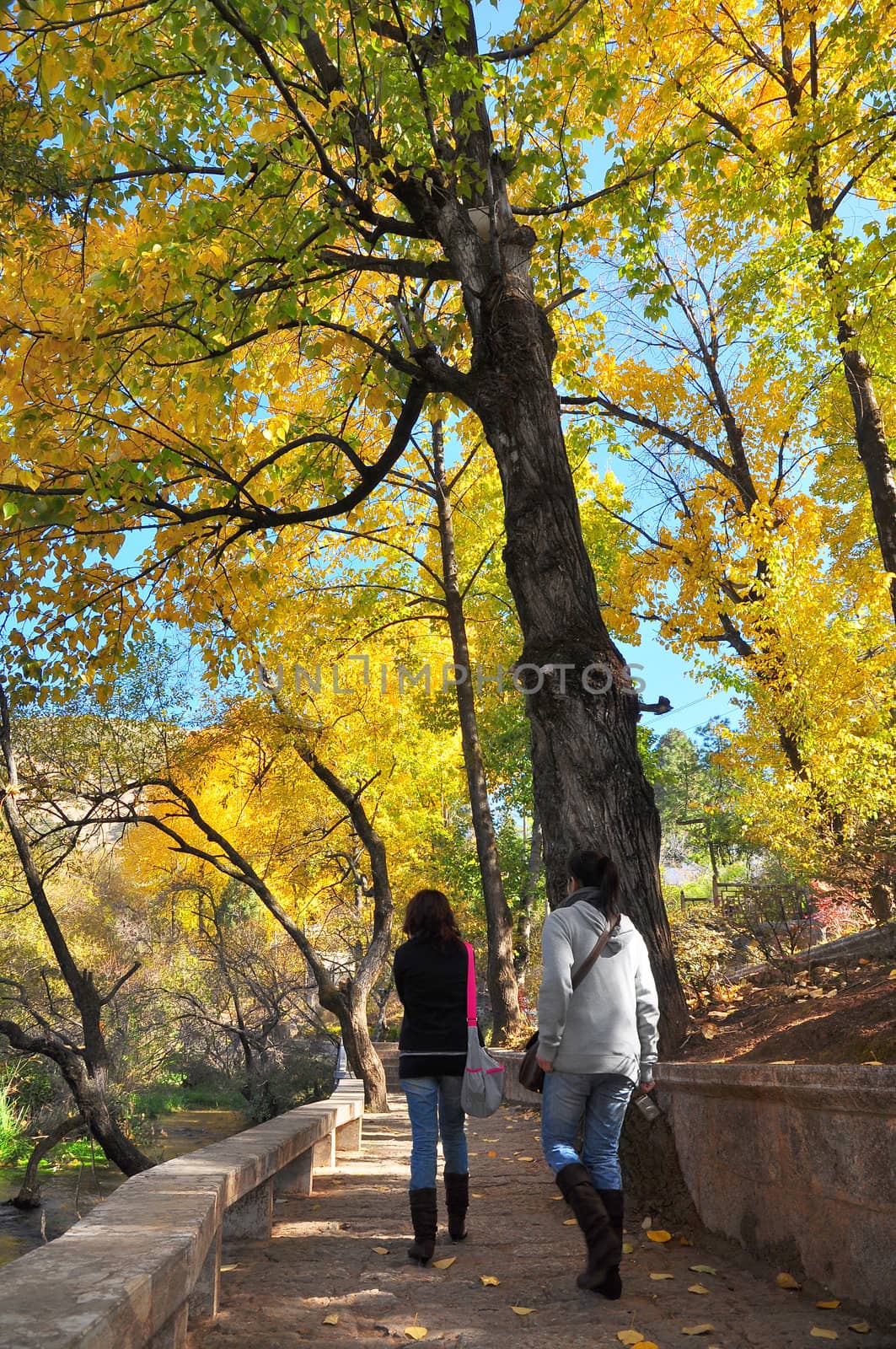 Walking through autumn park by TanawatPontchour