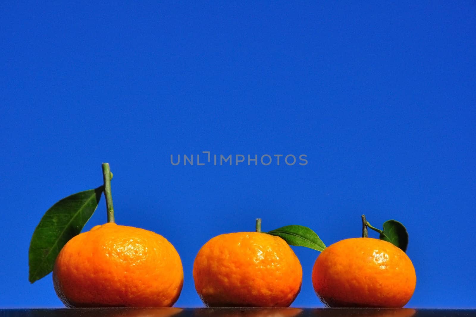 Three oranges with leaf