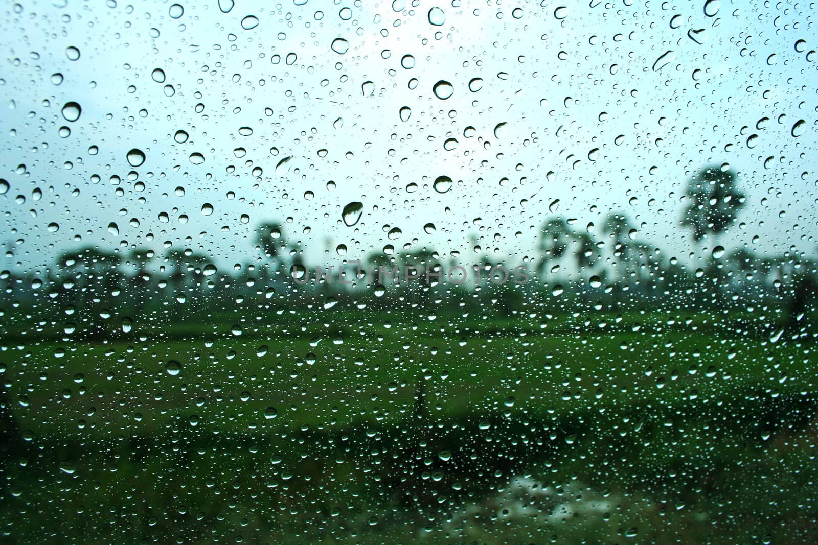 water drops on window after rain