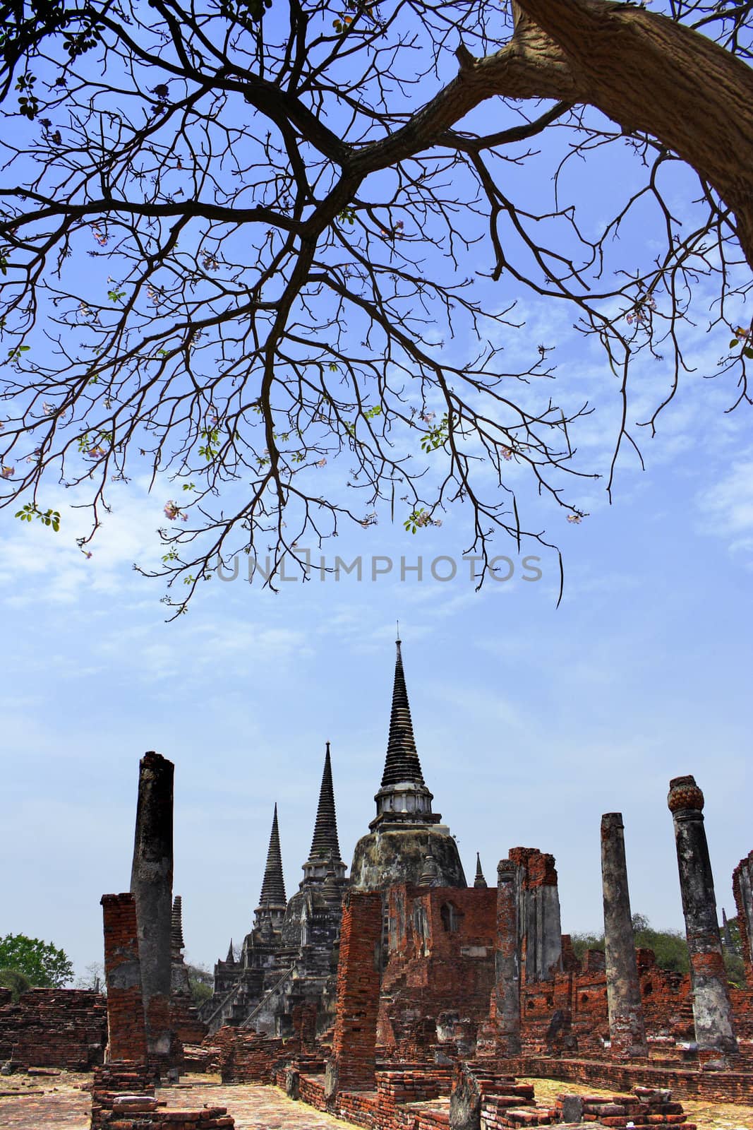 Old Siam Temple of Ayutthaya, Thailand (UNESCO word heritage)