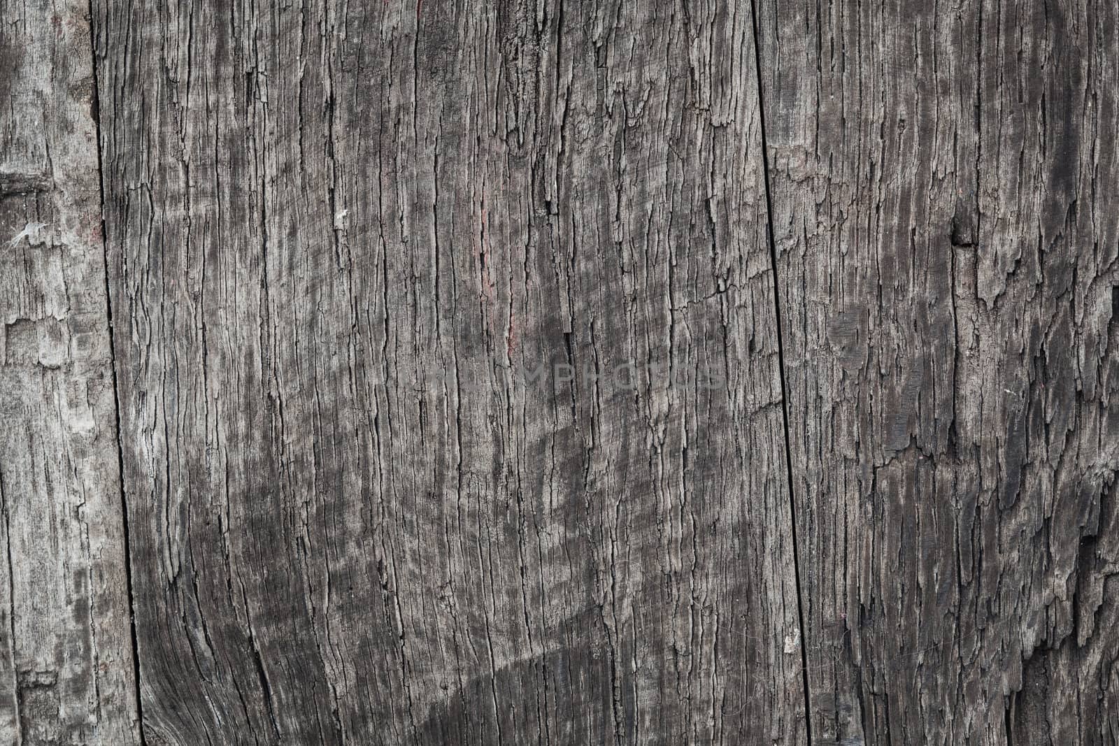 wood texture background