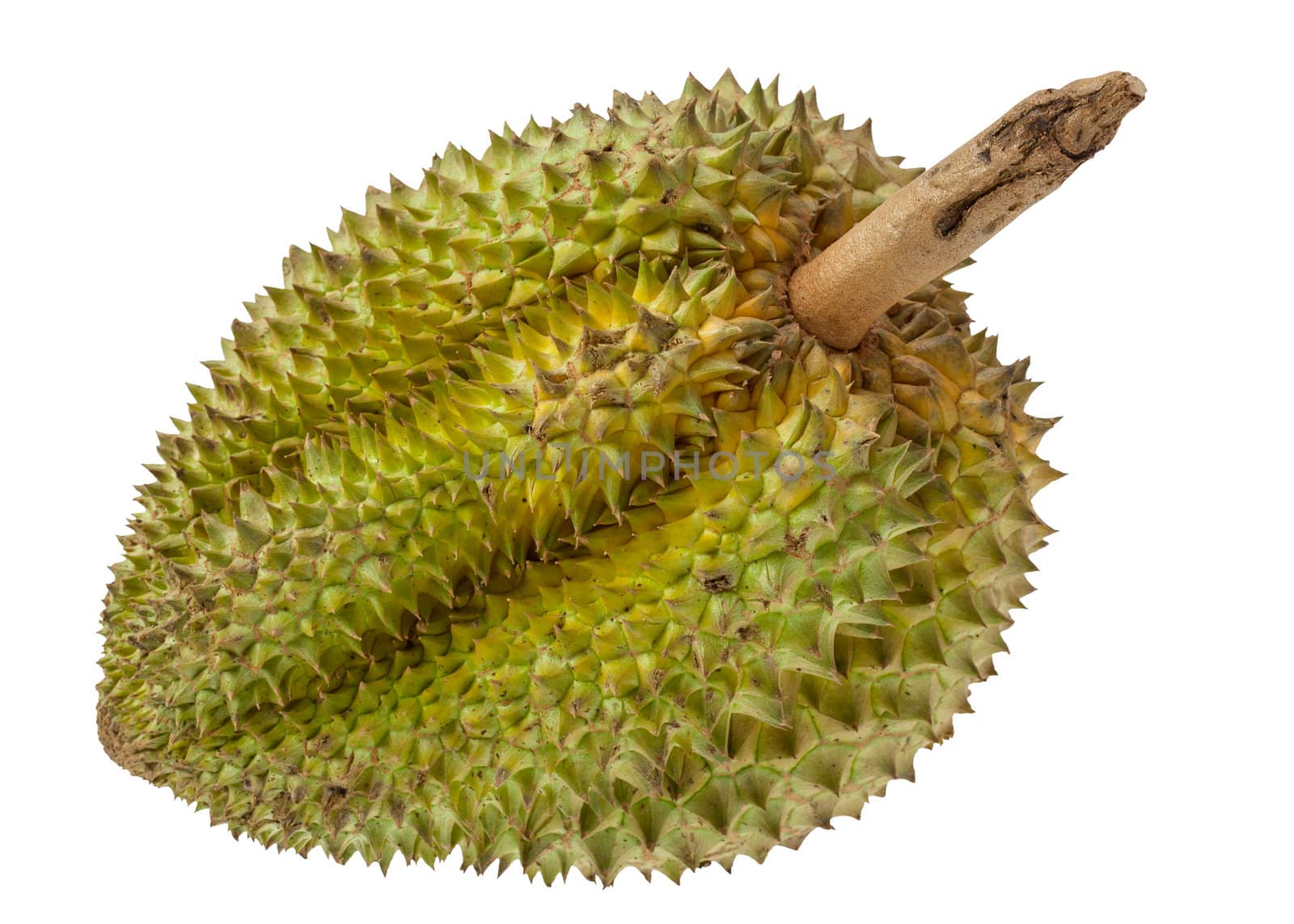 Durian fruits