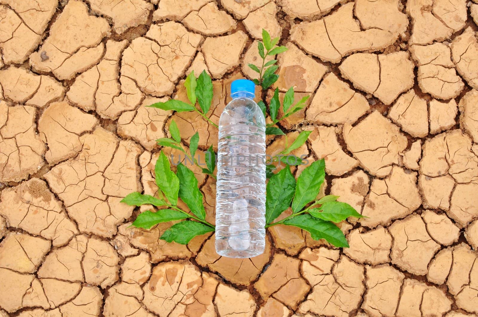 A water bottle on dry and cracked ground 