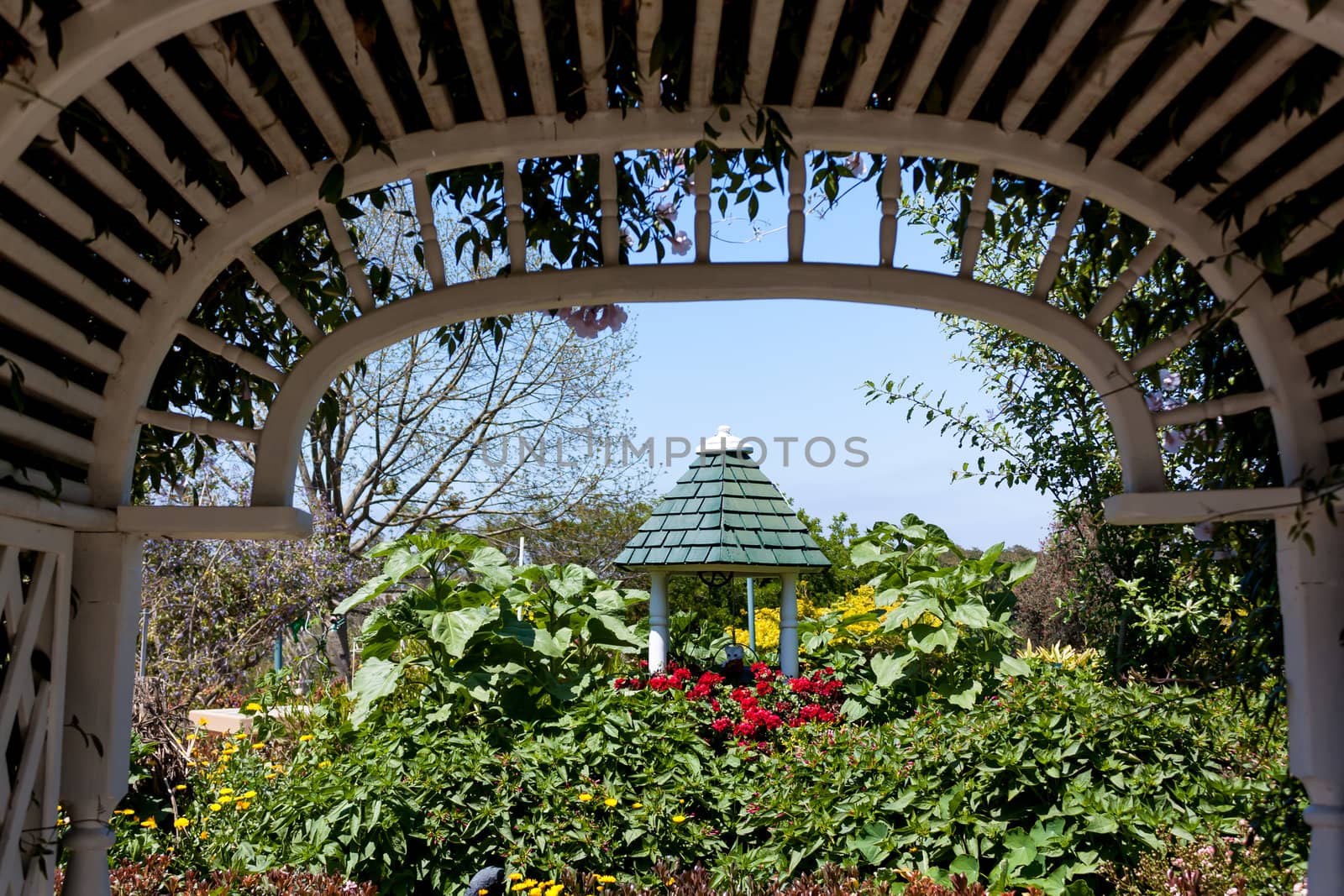 South Coast Botanic Garden by wolterk