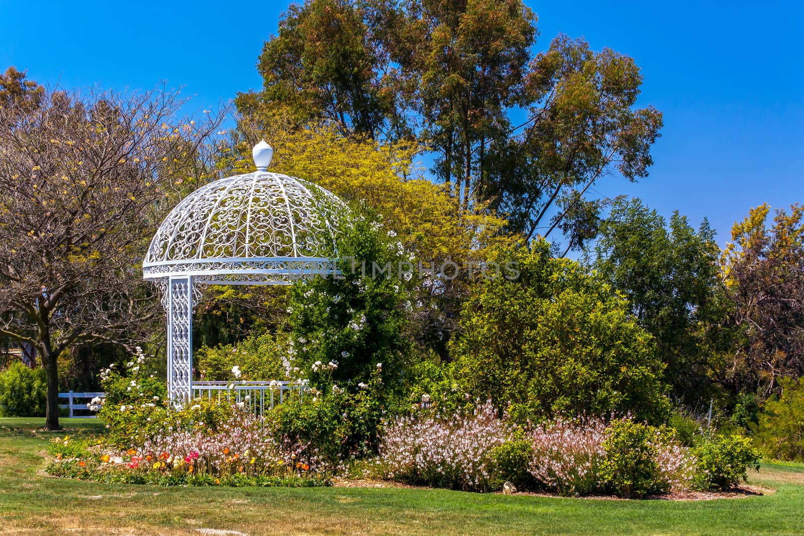 Wedding Gazebo atSouth Coast Botanic Garden by wolterk