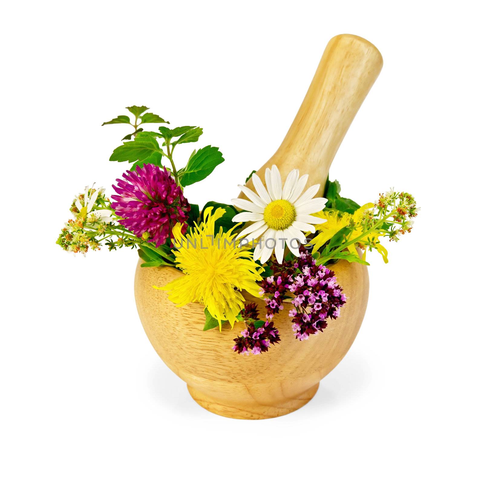 Mortar with a sprig of mint, flowers of chamomile, clover, oregano, mignonette, elecampane isolated on white background