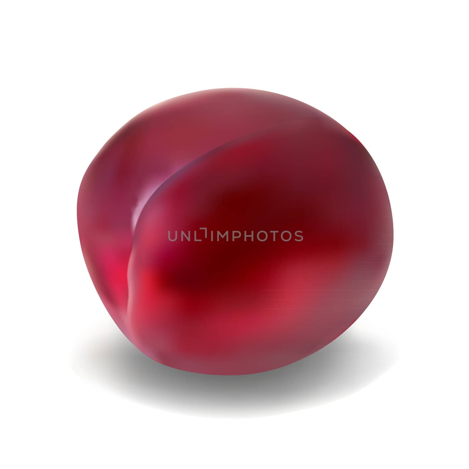 Purple plum isolated on a white background