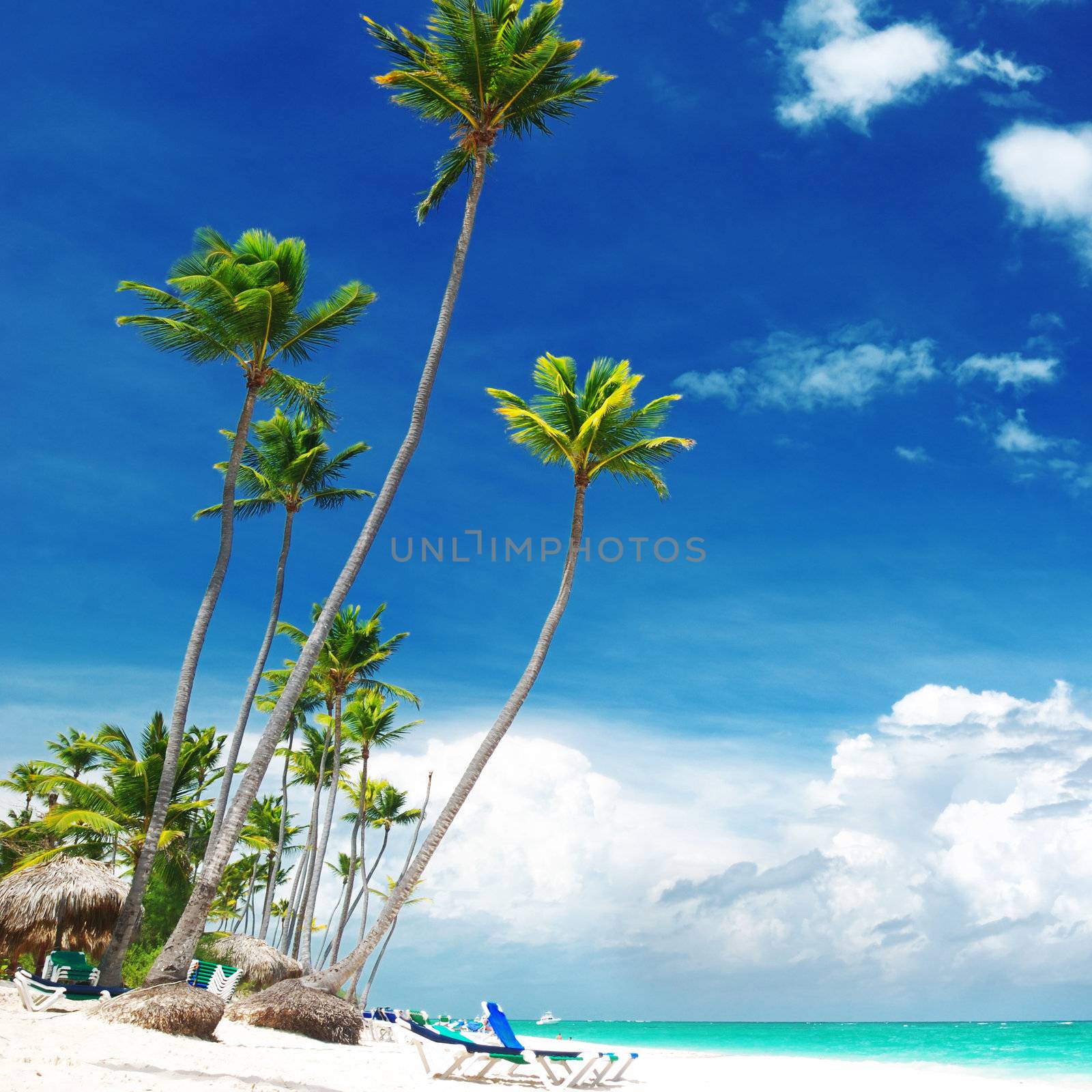 Beautiful caribbean beach in Dominican Republic