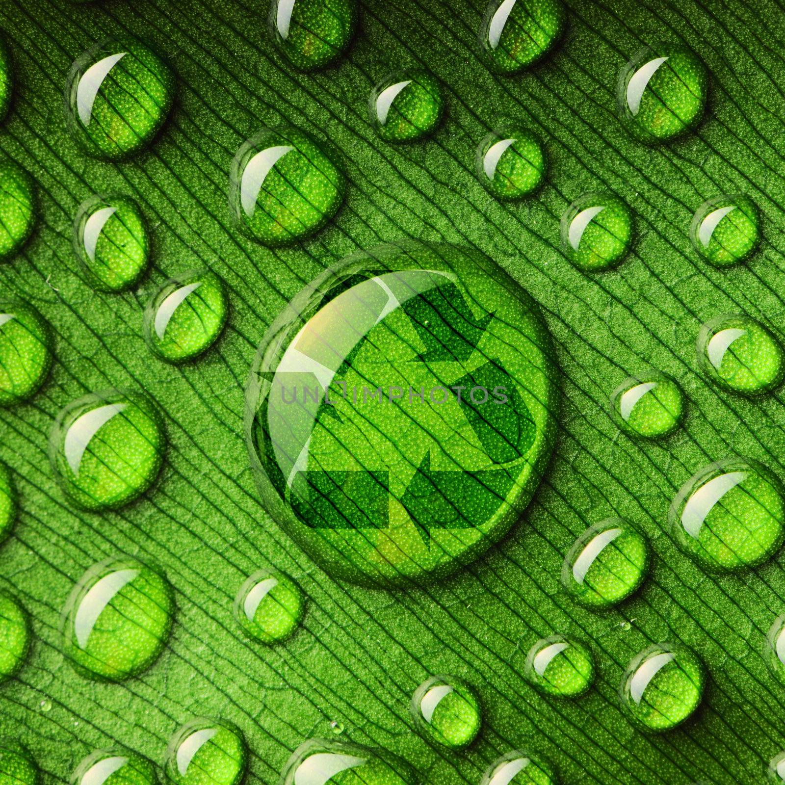 Water drops on leaf and recycle logo by haveseen
